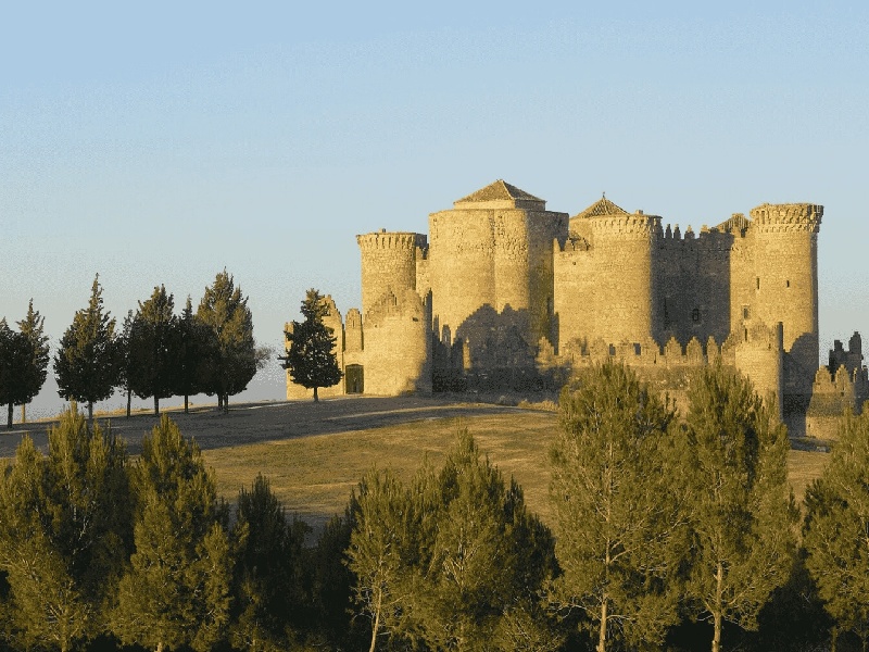 快速怀孕多胎试管卵巢囊肿 费用唐都试管之路